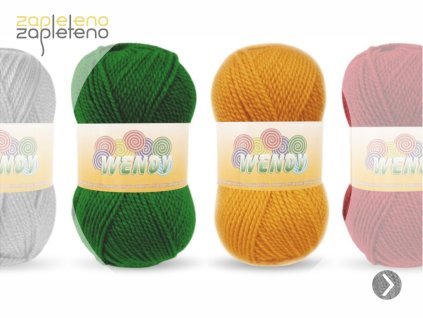 Wendy Elian Zapleteno