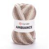 AMBIANCE 161