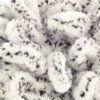 686 Snow Leopar