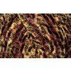 dolphin animal colors 83110