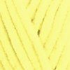 Dolphin Fine 80502