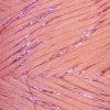Twisted Macrame 3mm LUREX
