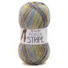 Forza Stripe