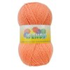wendy1292 l