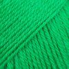 27 papouščí zelená